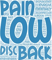 Interv Pain Med Neuromod